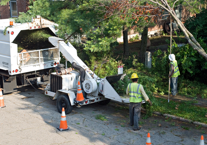 Omni Construction Emergency Response Team in reflective green vests and hard hats, cutting down a tree that was damaged after a natural disaster